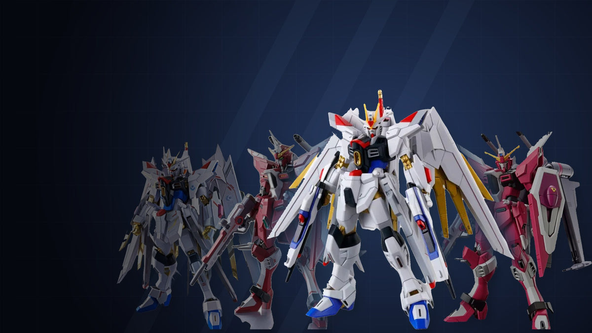 HG Mighty Strike Freedom Gundam with HG and METAL ROBOT SPIRITS Infinite Justice Gundam Type II