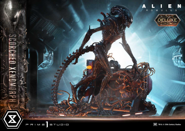 Prime 1 Studio Museum Masterline XL Alien: Romulus Scorched Xenomorph Deluxe Bonus Version | 4582647121875
