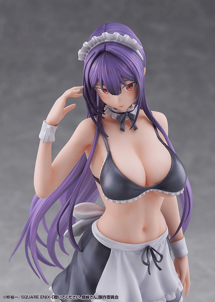 "Please Put Them On, Takamine-san" Takane Takamine 1/6 Scale Figure | 4580854212355