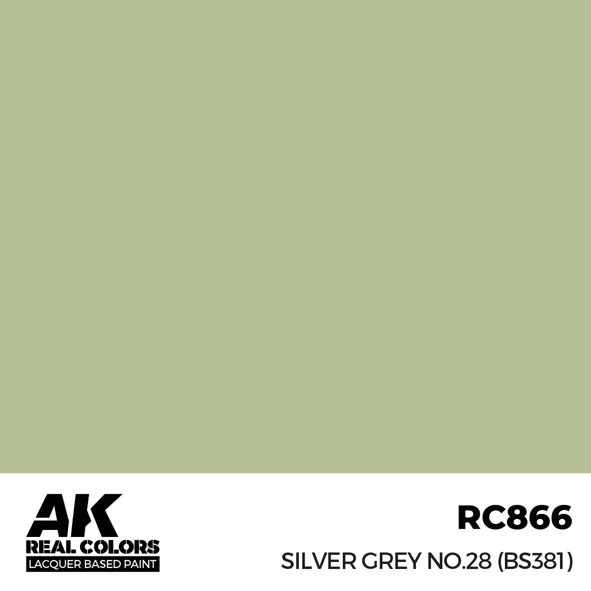 AK Interactive Real Colors Silver Grey No.28 (BS381) 17 ml. | 8435568336193