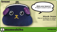 Toynami Mameshiba Coin Purse - Black Bean | 816355008291