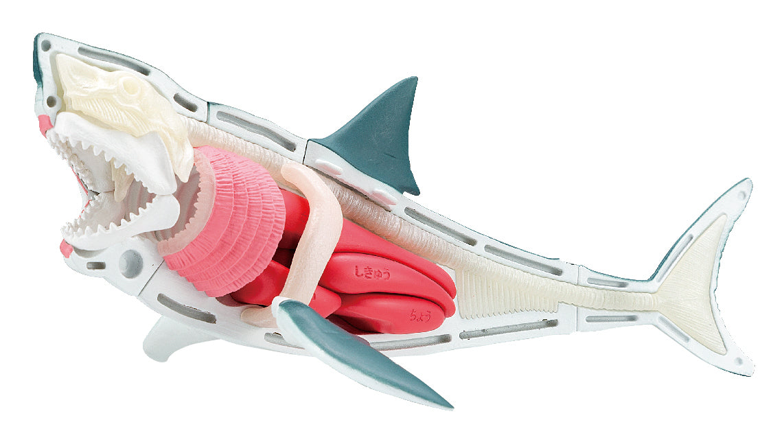 Megahouse Kaitai Puzzle, Great White Shark Puzzle | 4975430518035