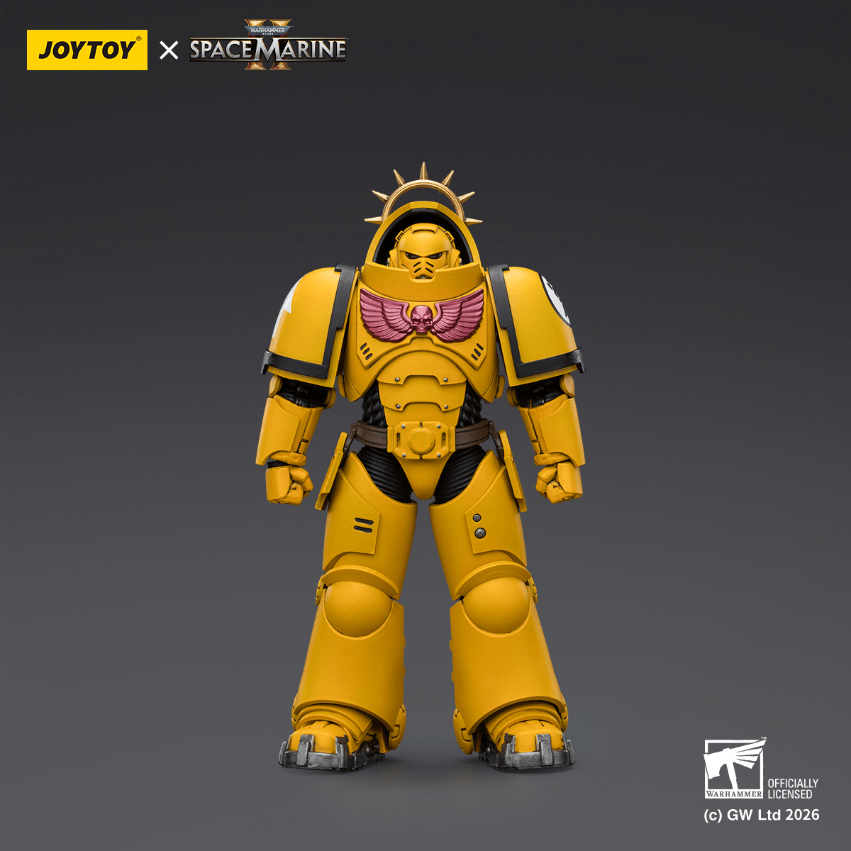 Game Edition Imperial Fists Heavy Intercessor with Heavy Bolt Rifle and Bolt Pistol | 6927054403653