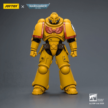 Imperial Fists Intercessor with Bolt Rifle, Bolt Pistol and Chainsword | 6927054403844