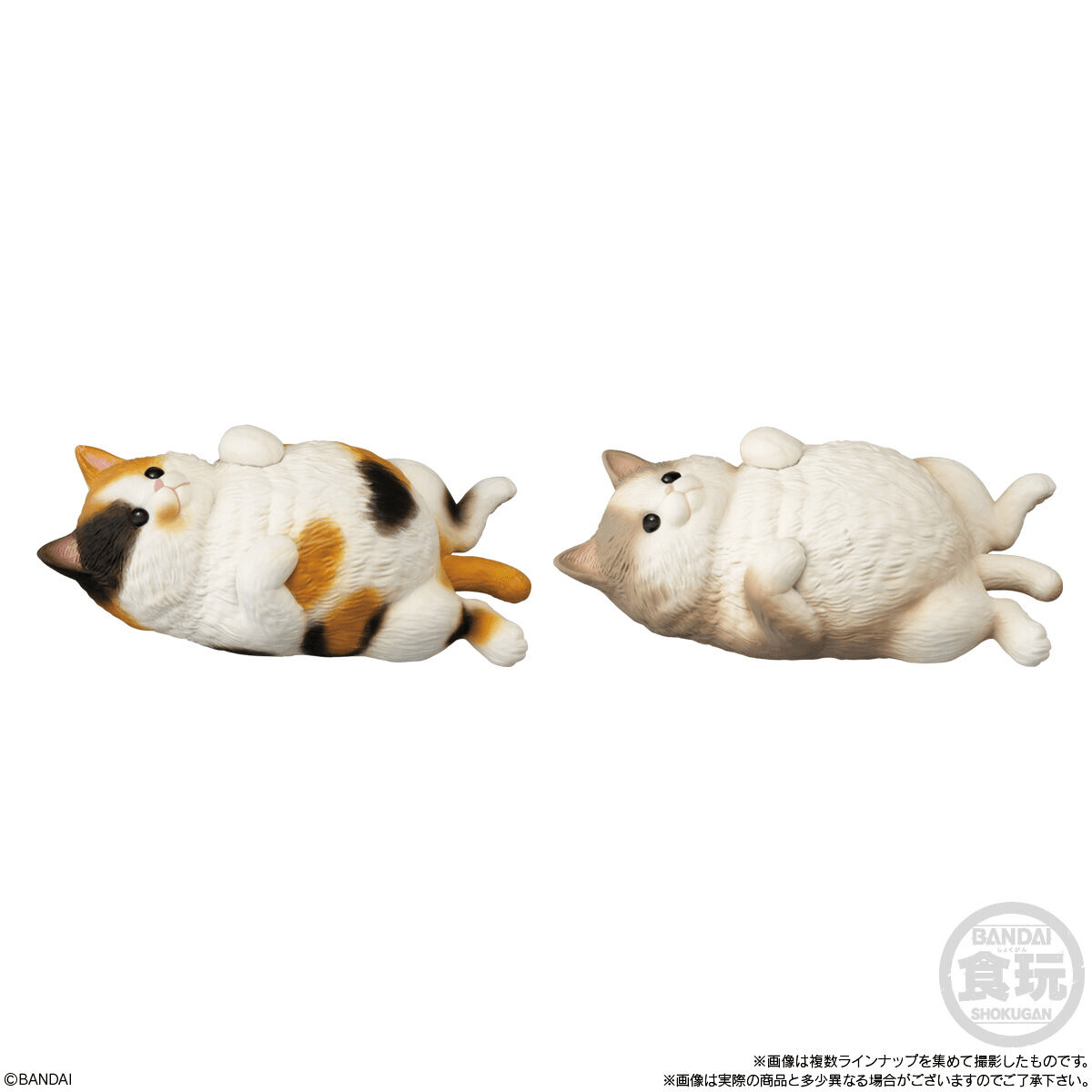 Mocchiri Kororin Cats (Open Box/12)
