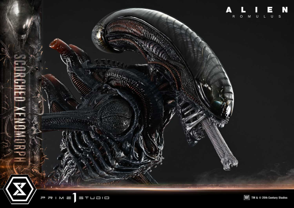 Prime 1 Studio Museum Masterline XL Alien: Romulus Scorched Xenomorph Deluxe Bonus Version | 4582647121875