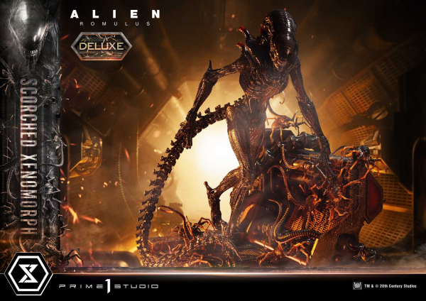 Prime 1 Studio Museum Masterline XL Alien: Romulus Scorched Xenomorph Deluxe Bonus Version | 4582647121875
