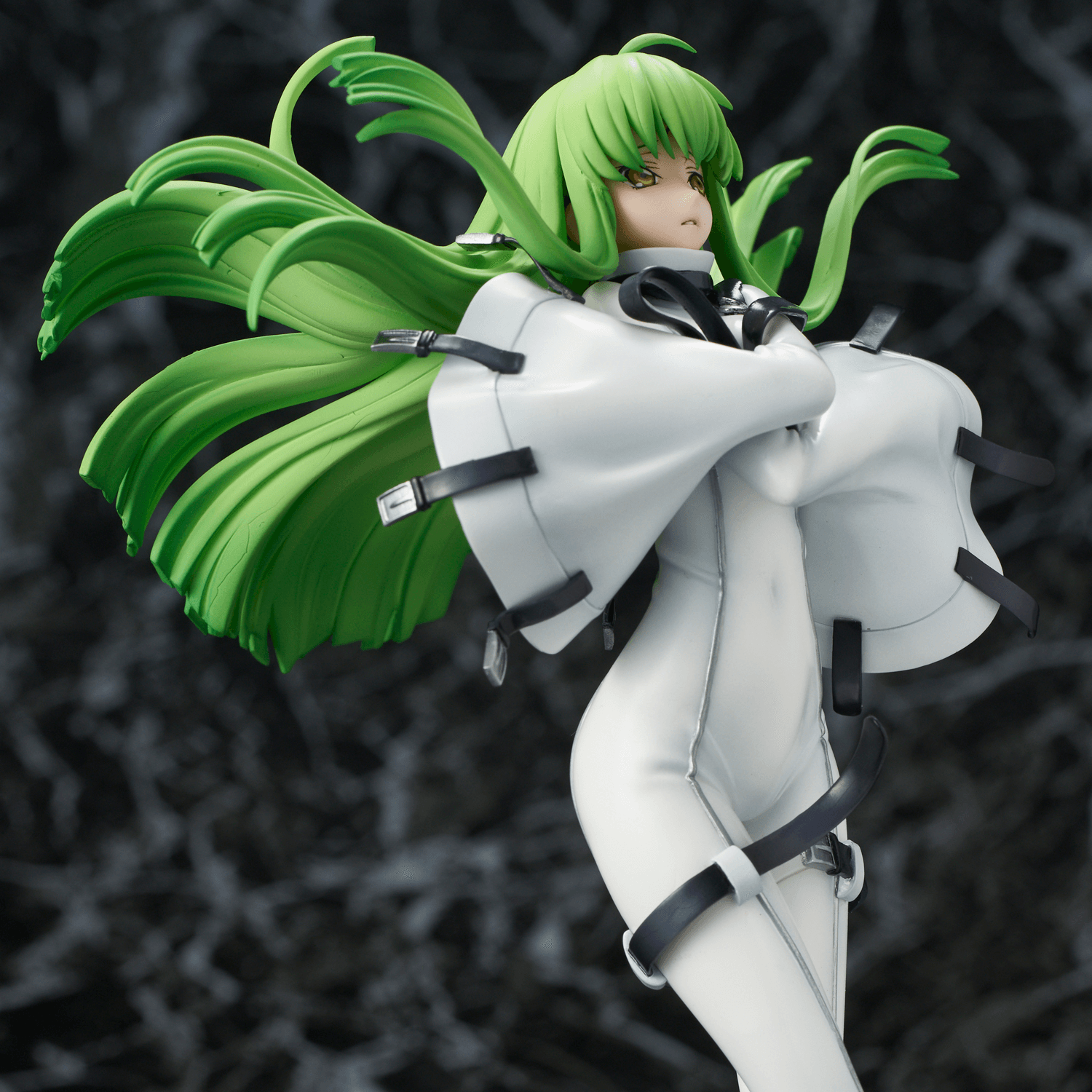 Code Geass: Lelouch of the Rebellion C.C. Re-release | 4589642718307