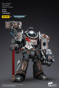 Joy Toy Grey Knights Terminator Caddon Vibova | 6973130373228