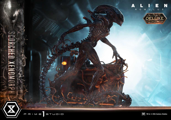 Prime 1 Studio Museum Masterline XL Alien: Romulus Scorched Xenomorph Deluxe Bonus Version | 4582647121875