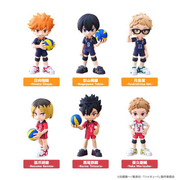 Bushiroad Creative PalVerse Haikyu | 4571598685246