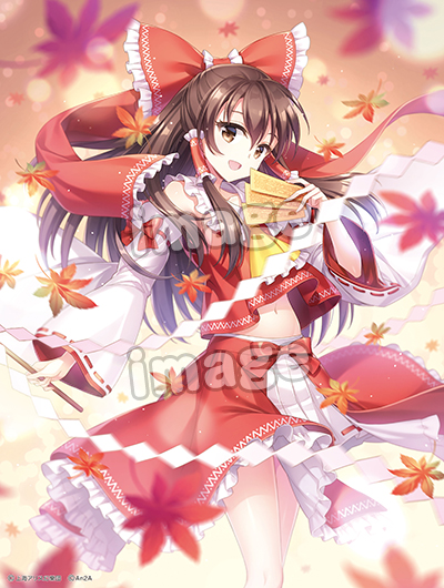 FREEing Reimu Hakurei(re-run) | 4570001512841