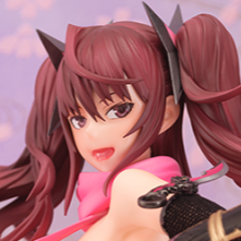 Ninja Erika