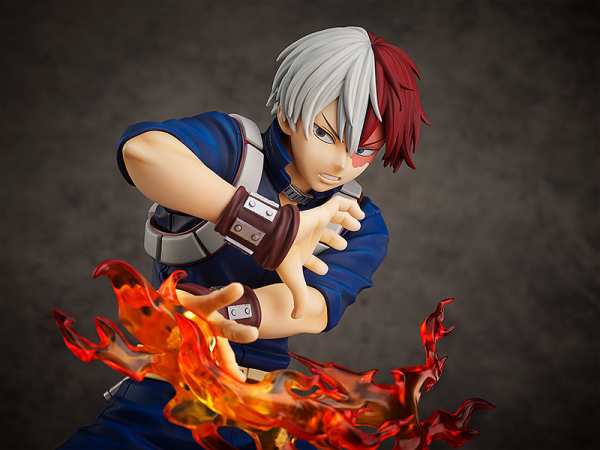 FREEing Shoto Todoroki | 4580416925990