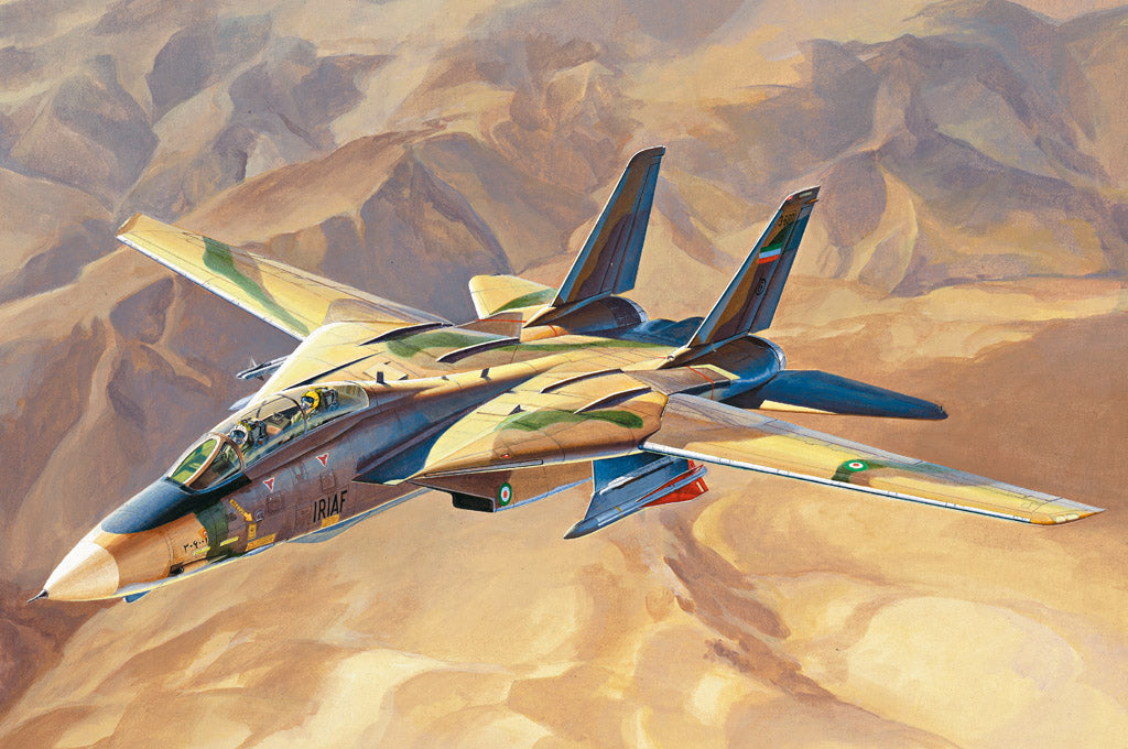 Hobby Boss 1/48 F-14A Tomcat - IRIAF �Persian Cat�