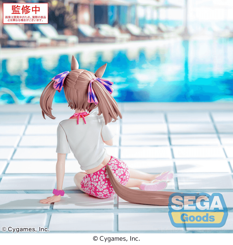 SEGA Yumemirize Umamusume: Pretty Derby Smart Falcon -Gaze on Me!- | 4582733450612