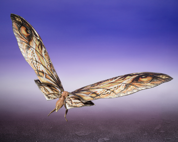BANDAI Tamashii SUKO & MOTHRA (2024) FROM GODZILLA x KONG: THE NEW EMPIRE GODZILLA x KONG: The New Empire ""GODZILLA x KONG: The New Empire"", TAMASHII NATIONS S.H.MonsterArts | 4573102668677