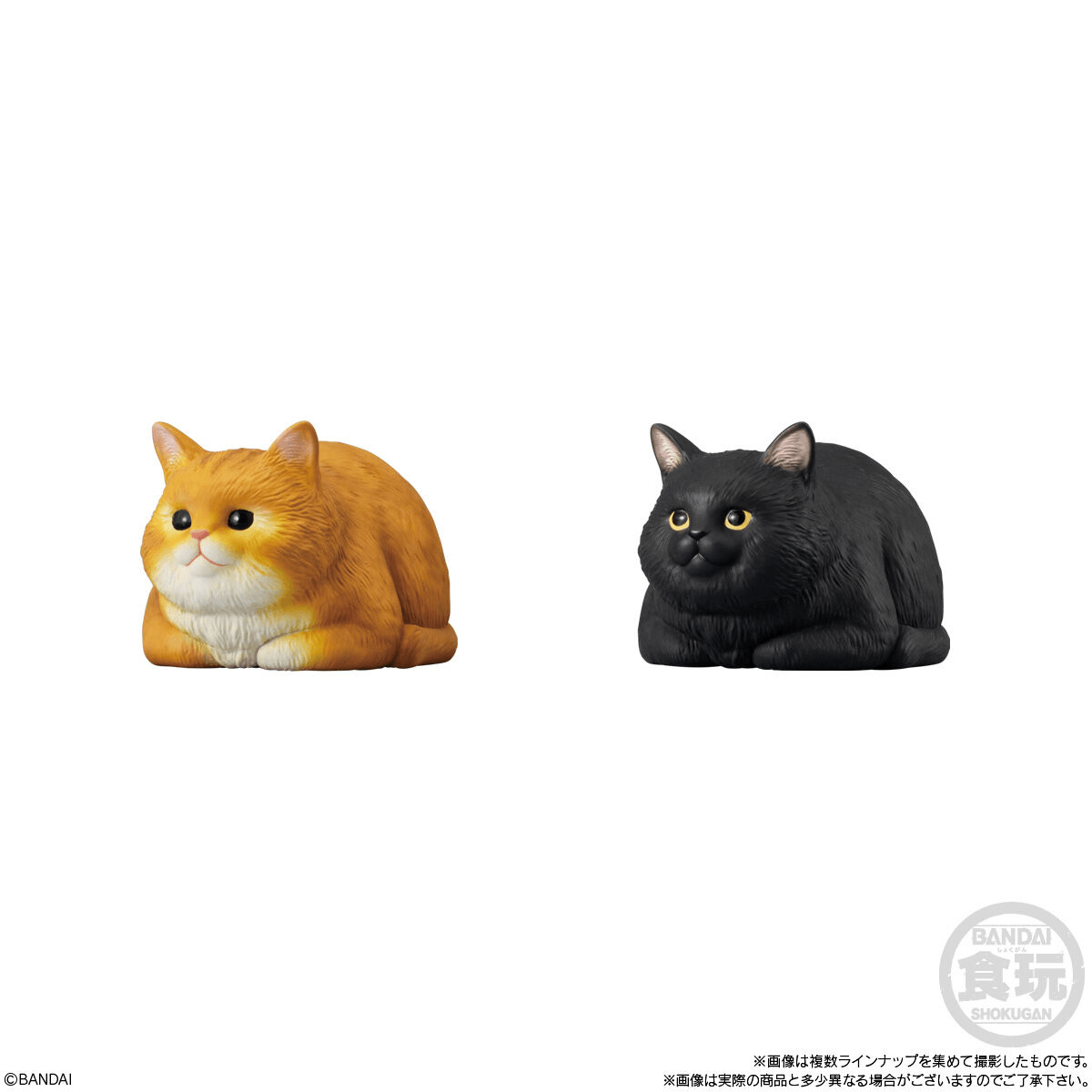 Mocchiri Kororin Cats (Open Box/12)