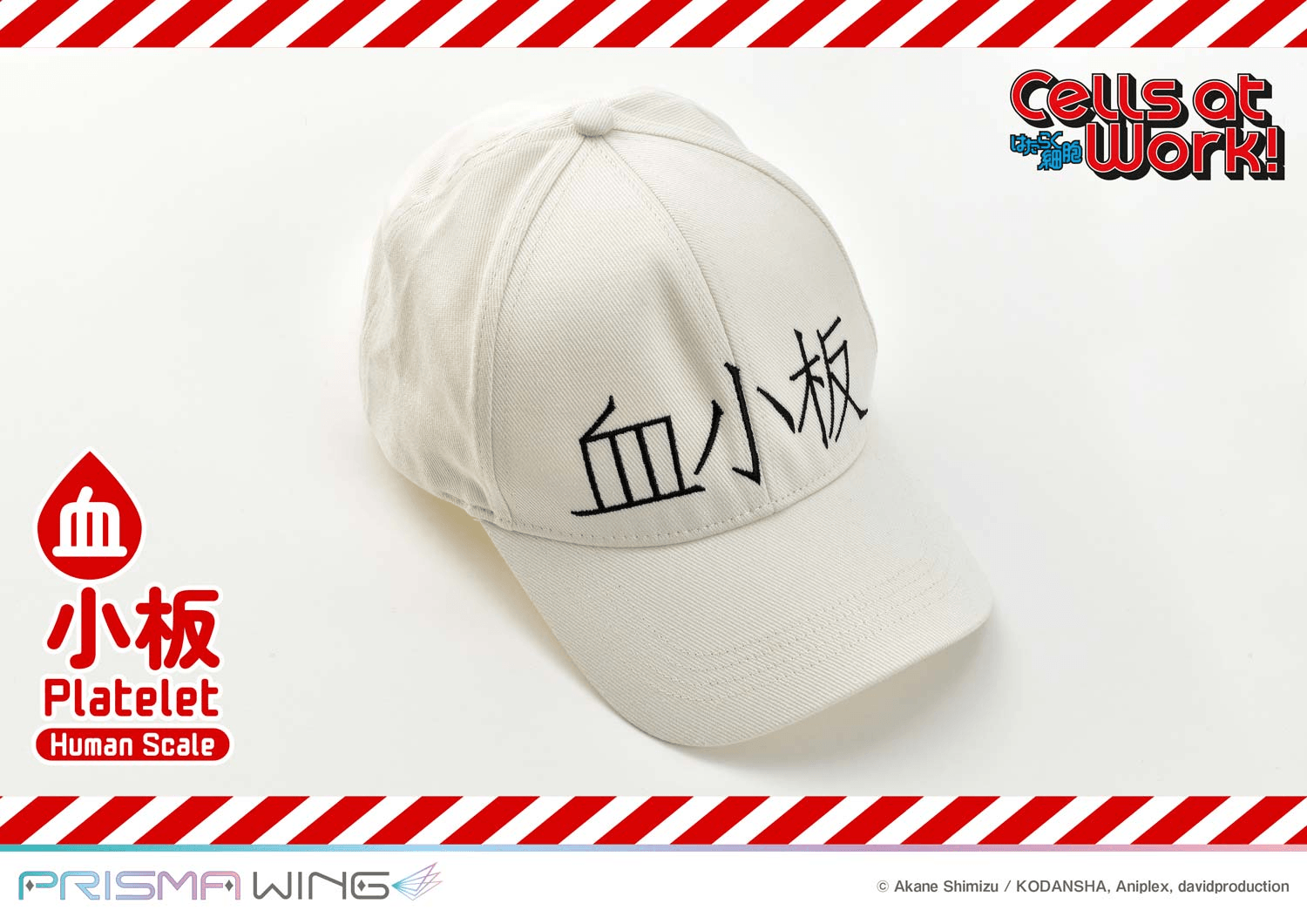 Life Scale Masterline Cells at Work Platelet | 4582647120816