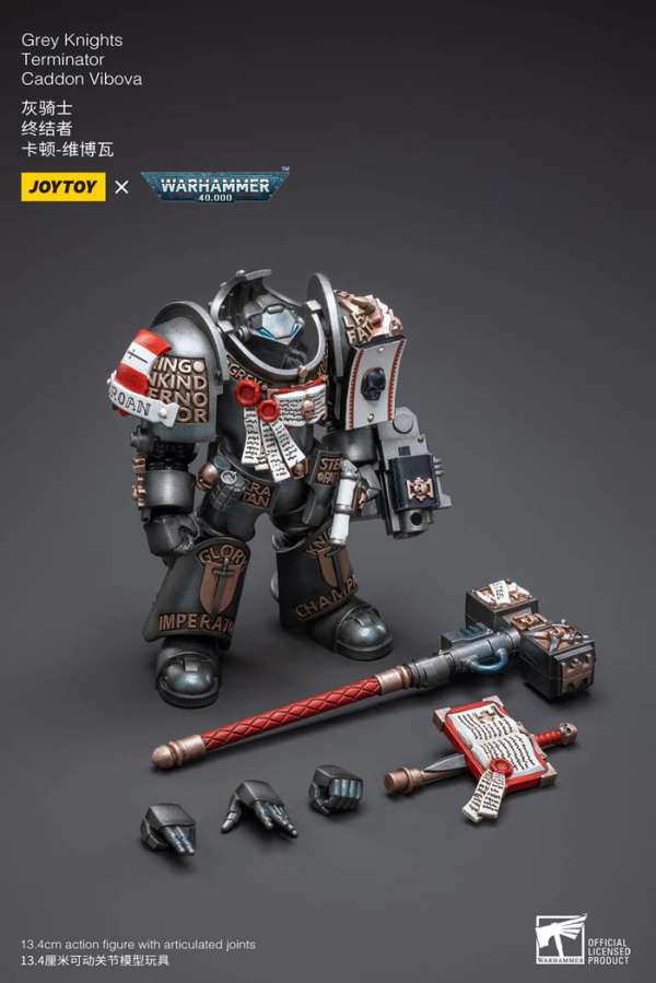 Joy Toy Grey Knights Terminator Caddon Vibova | 6973130373228