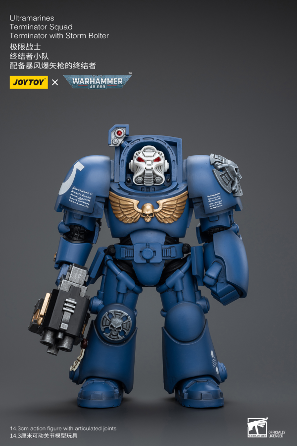 Joy Toy Ultramarines Terminator Squad Terminator with Storm Bolter | 6973130379930
