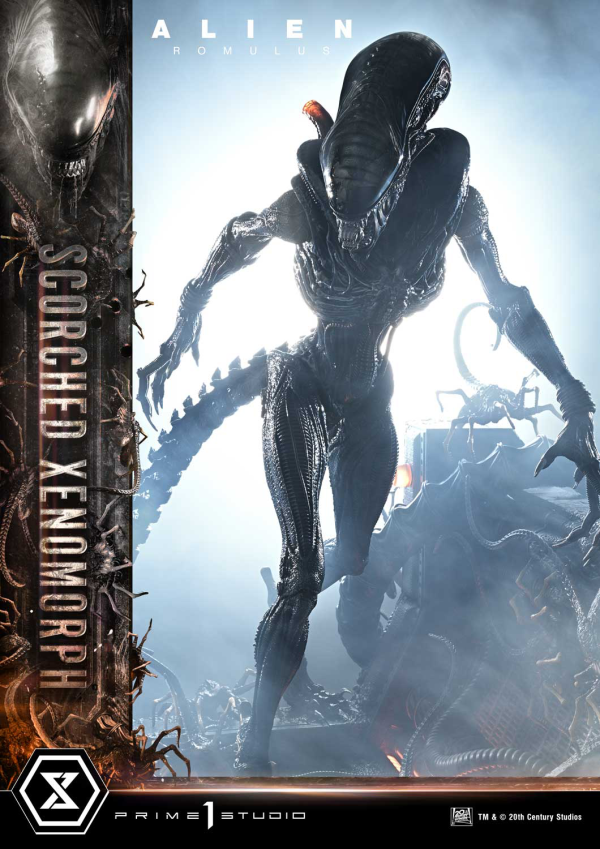 Prime 1 Studio Museum Masterline XL Alien: Romulus Scorched Xenomorph Deluxe Bonus Version | 4582647121875