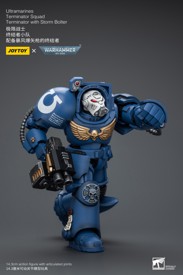 Joy Toy Ultramarines Terminator Squad Terminator with Storm Bolter | 6973130379930