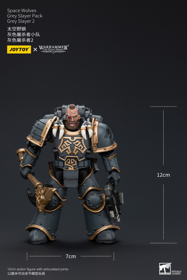 Joy Toy Space Wolves Grey Slayer Pack Grey Slayer2 | 6973130377516