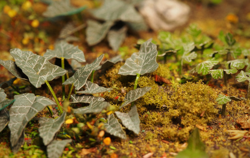 Matho 1/35 Plants & Weeds E