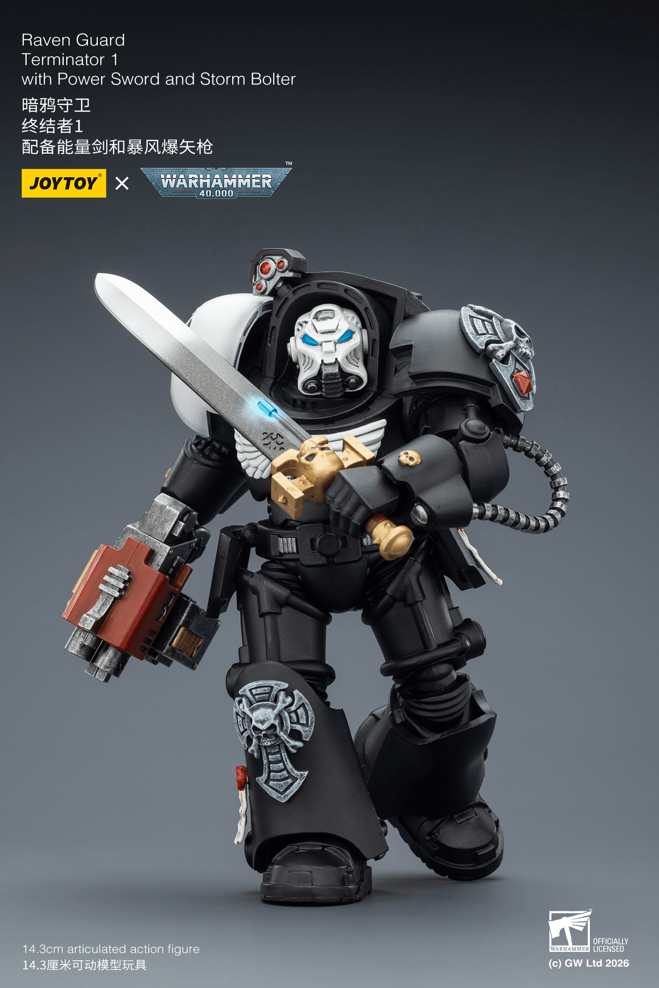 Raven Guard Terminator 1 with Power Sword and Storm Bolter | 6927054403240