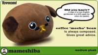 Toynami Mameshiba Medium Plush - Mocha Bean | 816355009434