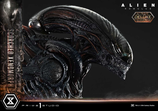 Prime 1 Studio Museum Masterline XL Alien: Romulus Scorched Xenomorph Deluxe Bonus Version | 4582647121875