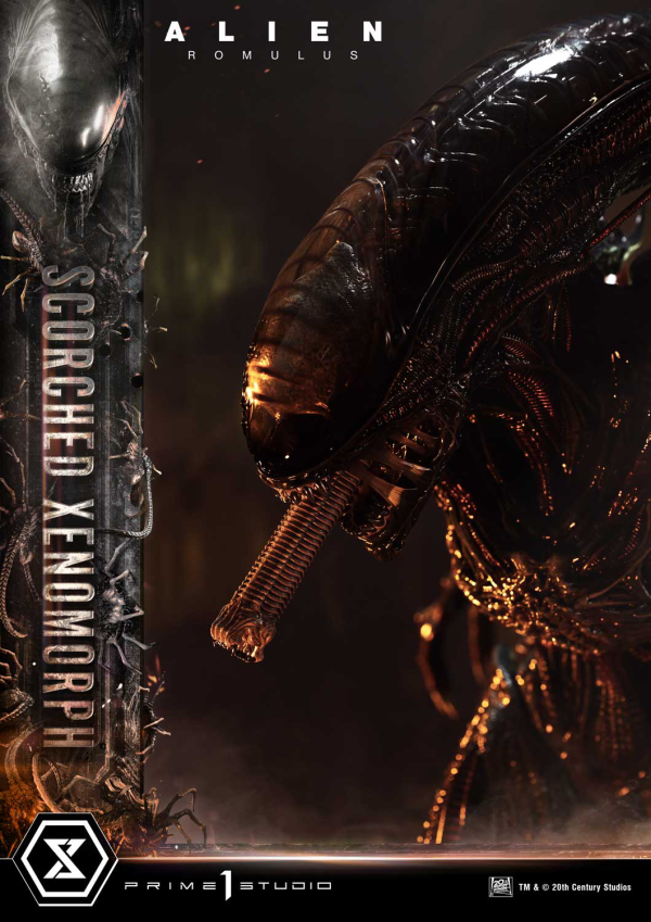 Prime 1 Studio Museum Masterline XL Alien: Romulus Scorched Xenomorph Deluxe Version | 4582647121868