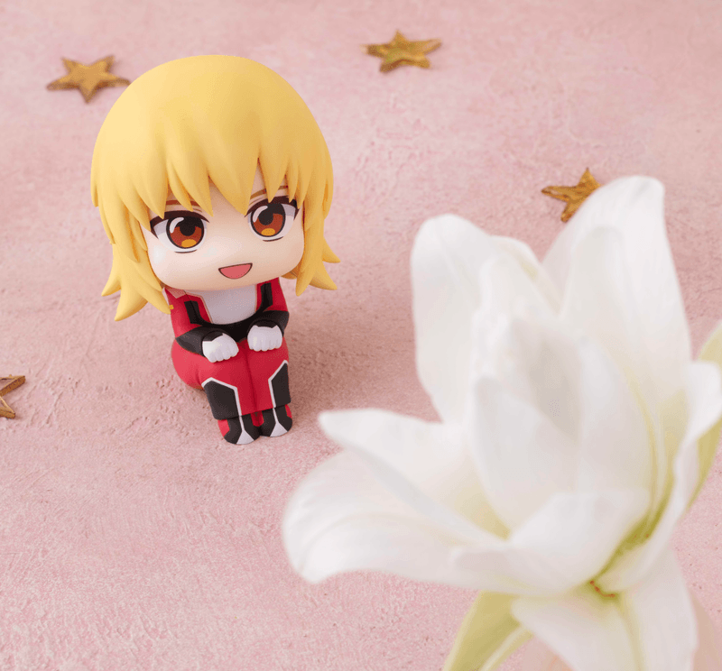 TAITO Lookup Mobile Suit Gundam SEED FREEDOM Cagalli Yula Athha | 4535123845758