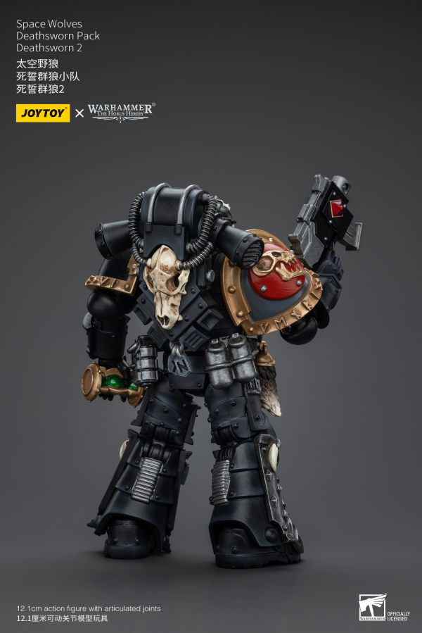 Joy Toy Space Wolves Deathsworn Pack Deathsworn 2 | 6973130376014
