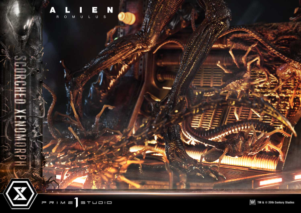 Prime 1 Studio Museum Masterline XL Alien: Romulus Scorched Xenomorph | 4582647121851