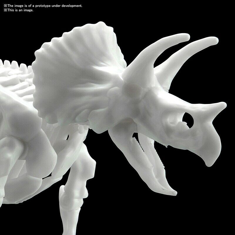 Bandai Spirits 1/32 Triceratops Dinosaur Limex Skeleton Model Kit | 4573102616609
