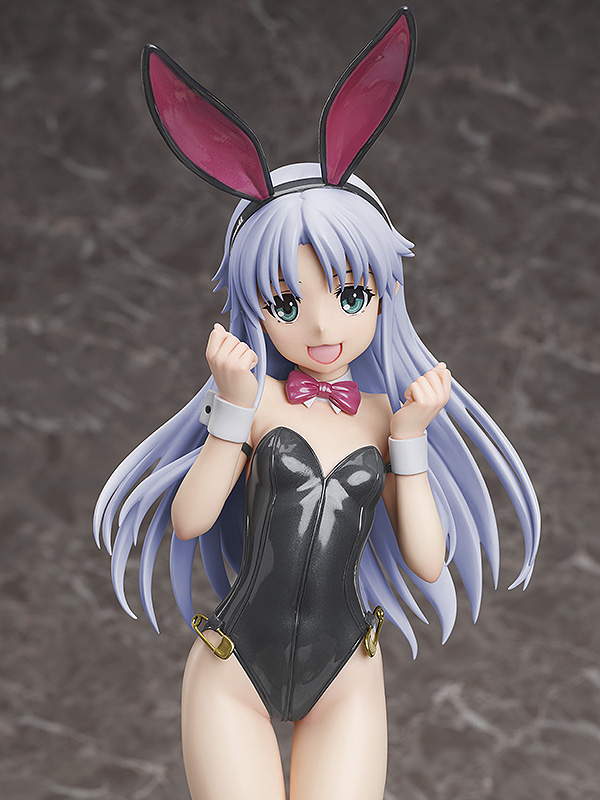 FREEing Index: Bare Leg Bunny Ver. | 4570001510878