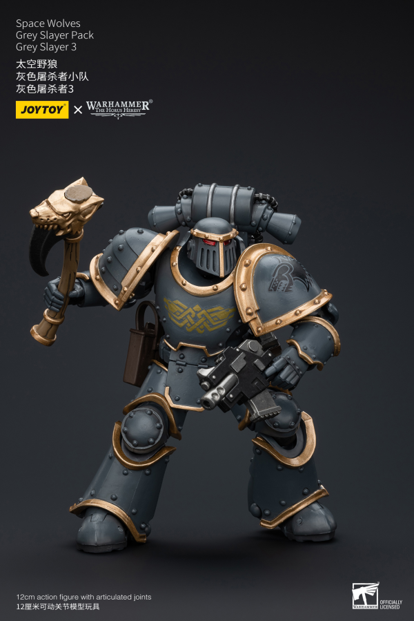 Joy Toy Space Wolves Grey Slayer Pack Grey Slayer3 | 6973130376076