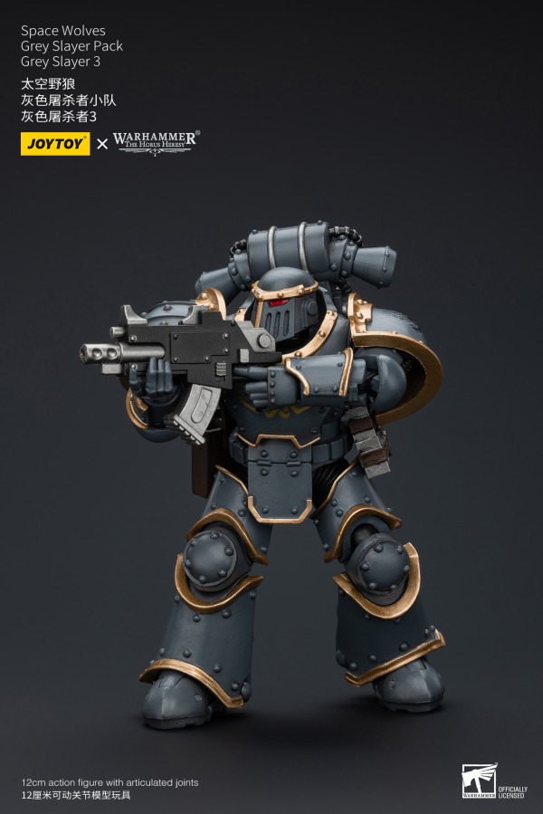 Joy Toy Space Wolves Grey Slayer Pack Grey Slayer3 | 6973130376076