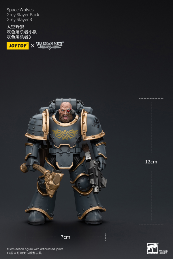 Joy Toy Space Wolves Grey Slayer Pack Grey Slayer3 | 6973130376076
