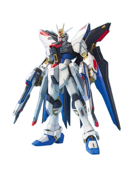 MG 1/100 Strike Freedom Gundam | 4543112480835