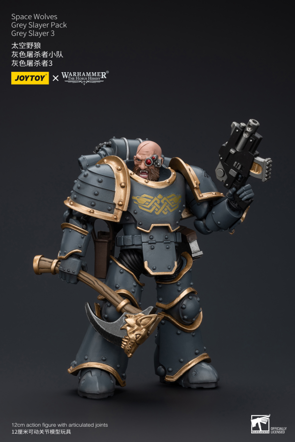 Joy Toy Space Wolves Grey Slayer Pack Grey Slayer3 | 6973130376076