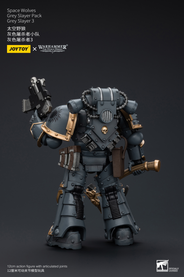 Joy Toy Space Wolves Grey Slayer Pack Grey Slayer3 | 6973130376076