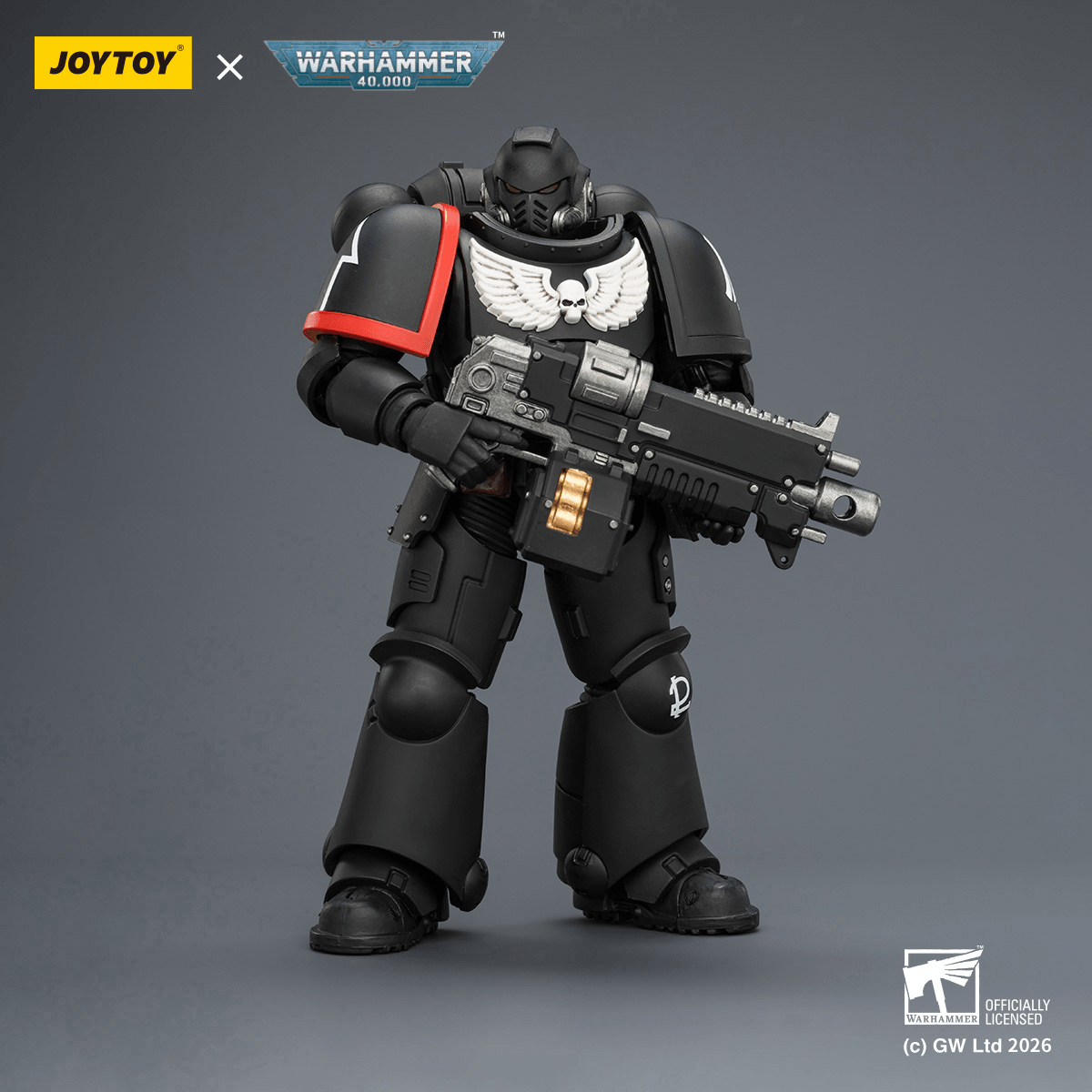 Raven Guard Intercessor with Bolt Rifle, Bolt Pistol and Chainsword | 6927054403899