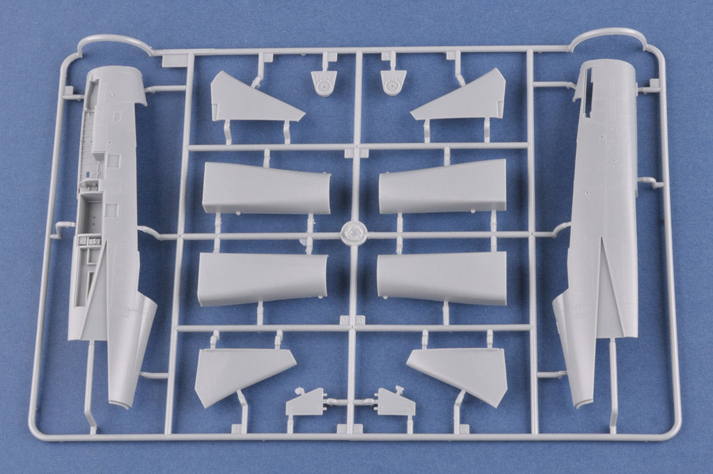 Hobby Boss 1/48 F-14A Tomcat - IRIAF �Persian Cat�