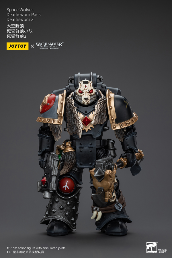 Joy Toy Space Wolves Deathsworn Pack Deathsworn 3 | 6973130376090