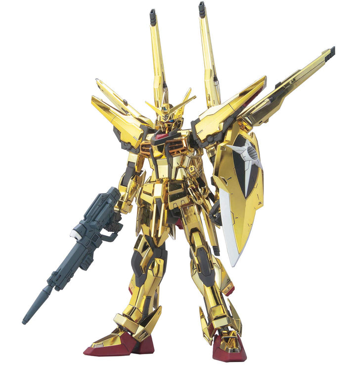 HG 1/100 #15 Akatsuki Oowashi/Shiranui | 4573102568168