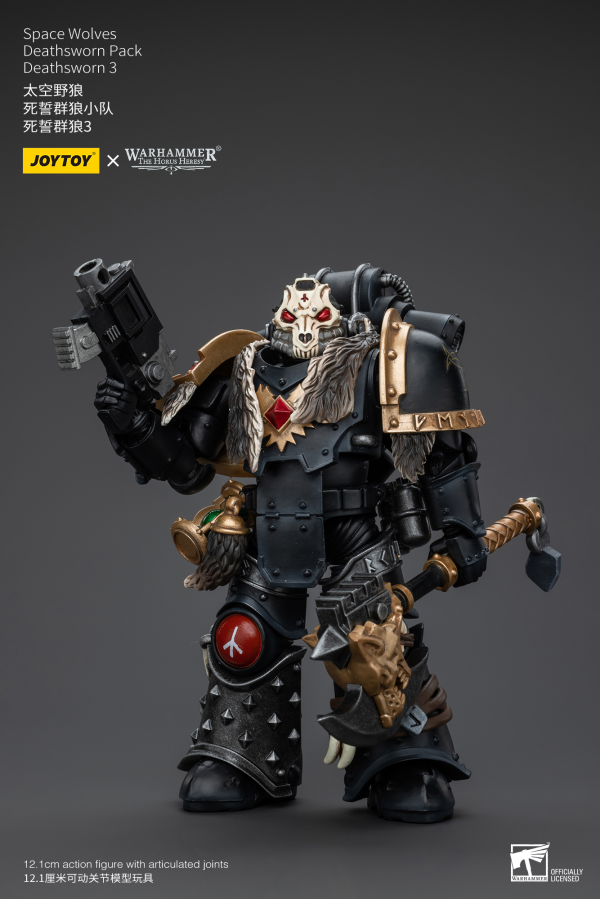 Joy Toy Space Wolves Deathsworn Pack Deathsworn 3 | 6973130376090