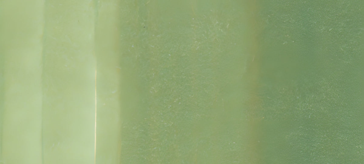 Copic Ciao Marker Yellow Greens, Pea Green YG63
